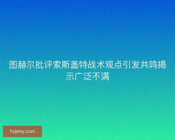 图赫尔批评索斯盖特战术观点引发共鸣揭示广泛不满