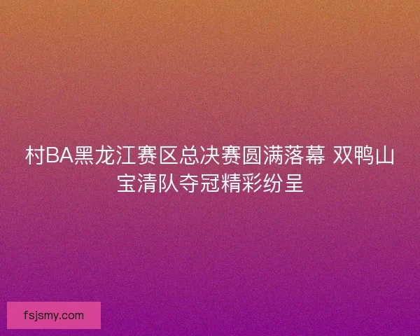 村BA黑龙江赛区总决赛圆满落幕 双鸭山宝清队夺冠精彩纷呈