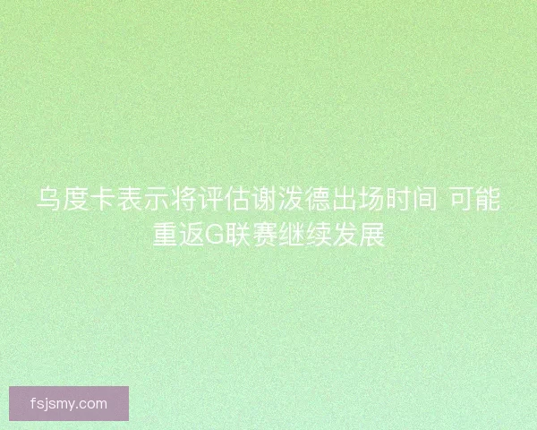 乌度卡表示将评估谢泼德出场时间 可能重返G联赛继续发展