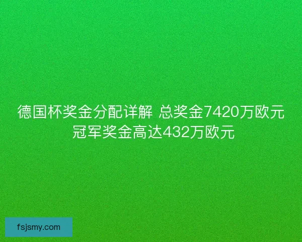 德国杯奖金分配详解 总奖金7420万欧元 冠军奖金高达432万欧元
