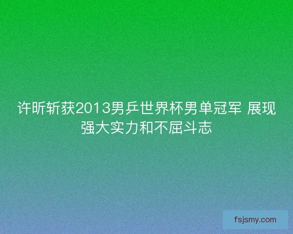 许昕斩获2013男乒世界杯男单冠军 展现强大实力和不屈斗志
