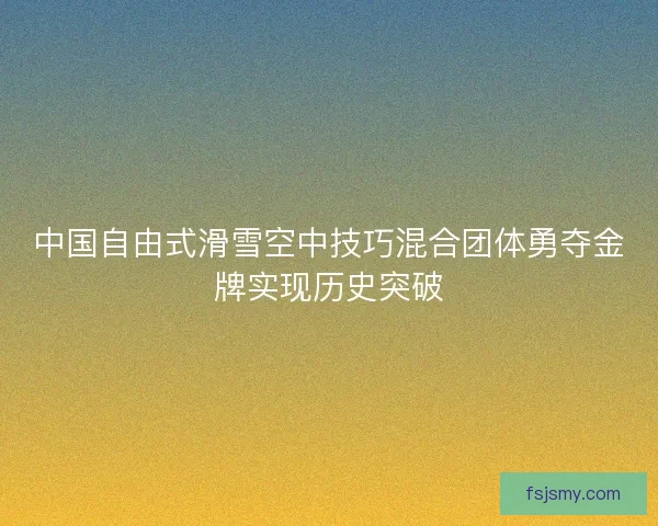 中国自由式滑雪空中技巧混合团体勇夺金牌实现历史突破