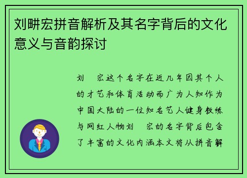 刘畊宏拼音解析及其名字背后的文化意义与音韵探讨